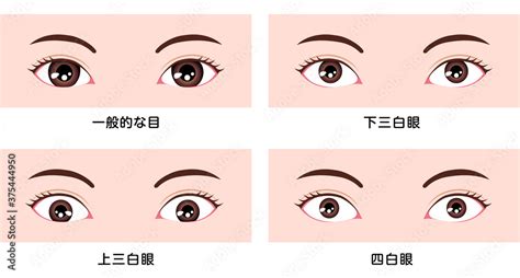 桃花眼 三白眼|【あなたはどれ？】目の形の種類＆見分け方をご紹介！半開き・。